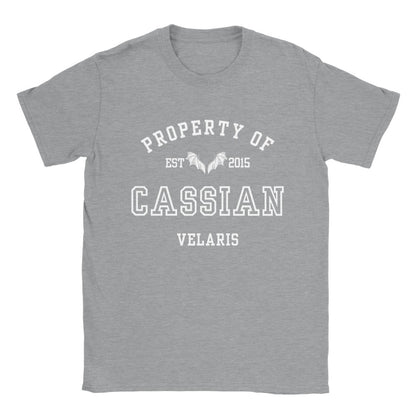 ACOTAR Cassian Property Of the Batboys General Commander of the Night Court T-shirt Maasiverse Merch Classic Unisex Velaris Crewneck Tshirt