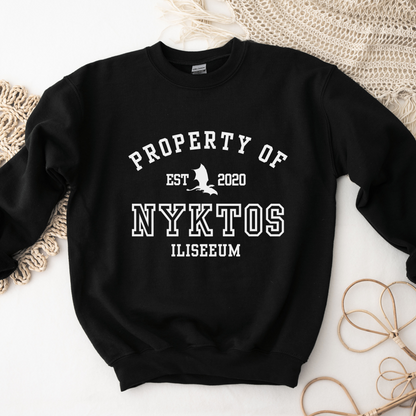 A Shadow In The Ember Property Of Nyktos Collegiate Sweatshirt Iliseeum JLA ASITE ALITF Merch Classic Unisex Crewneck Sweatshirt