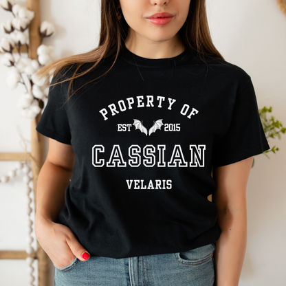 ACOTAR Cassian Property Of the Batboys General Commander of the Night Court T-shirt Maasiverse Merch Classic Unisex Velaris Crewneck Tshirt