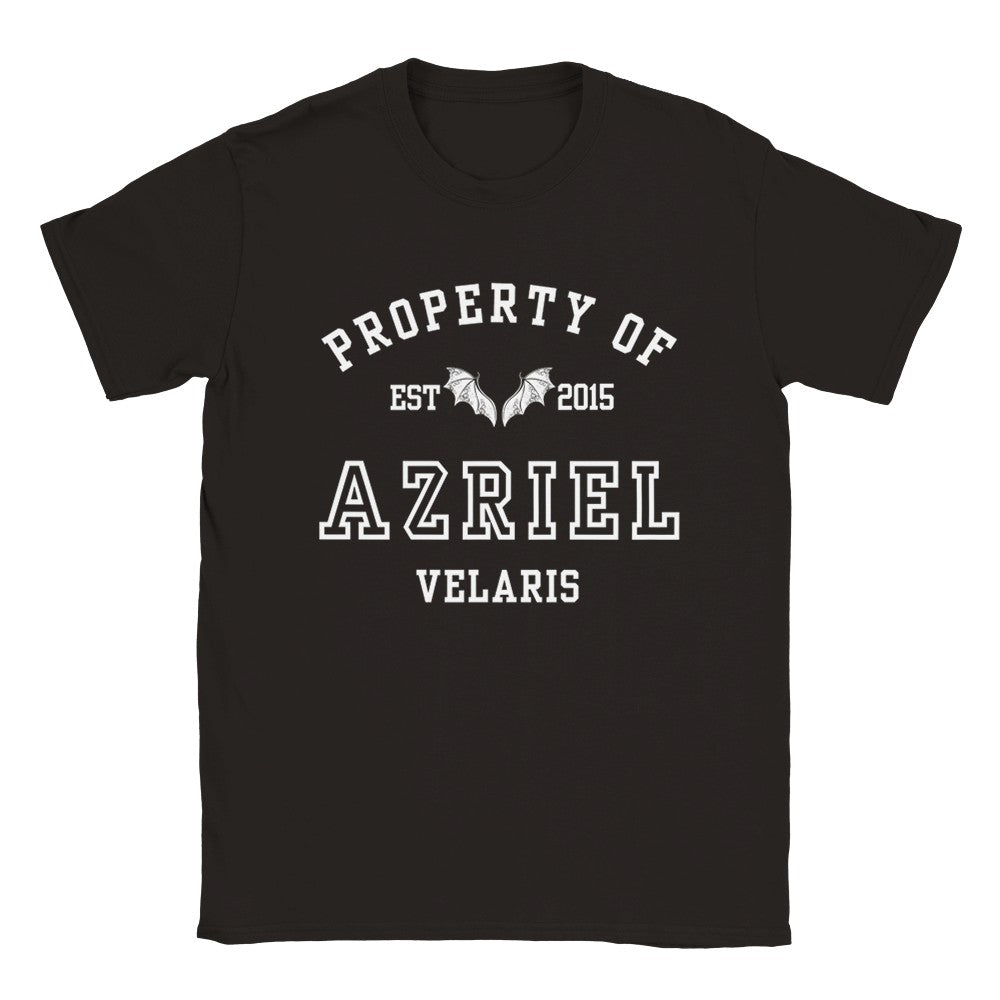 ACOTAR Azriel Property Of the Batboys Spymaster of the Night Court T-shirt Maasiverse Merch Classic Unisex Velaris Crewneck Tshirt