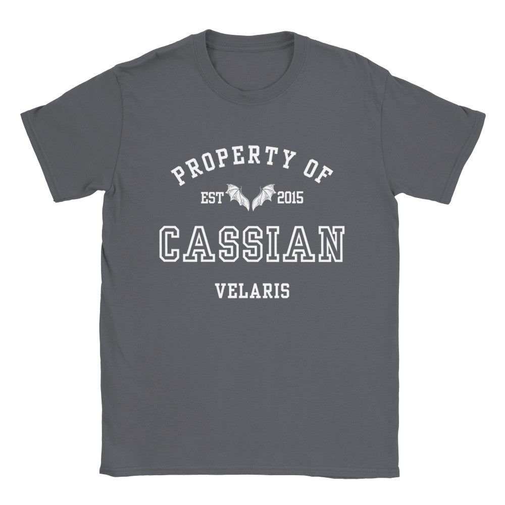 ACOTAR Cassian Property Of the Batboys General Commander of the Night Court T-shirt Maasiverse Merch Classic Unisex Velaris Crewneck Tshirt