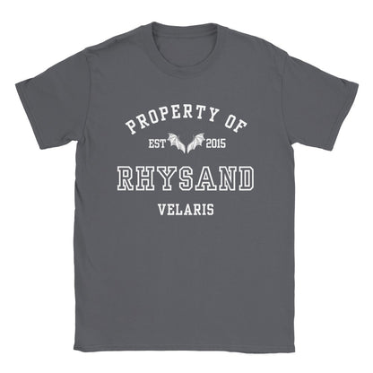 ACOTAR Rhysand Property Of the High Lord of the Night Court T-shirt Maasiverse Merch Classic Unisex Velaris Crewneck Tshirt