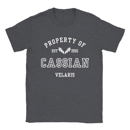 ACOTAR Cassian Property Of the Batboys General Commander of the Night Court T-shirt Maasiverse Merch Classic Unisex Velaris Crewneck Tshirt