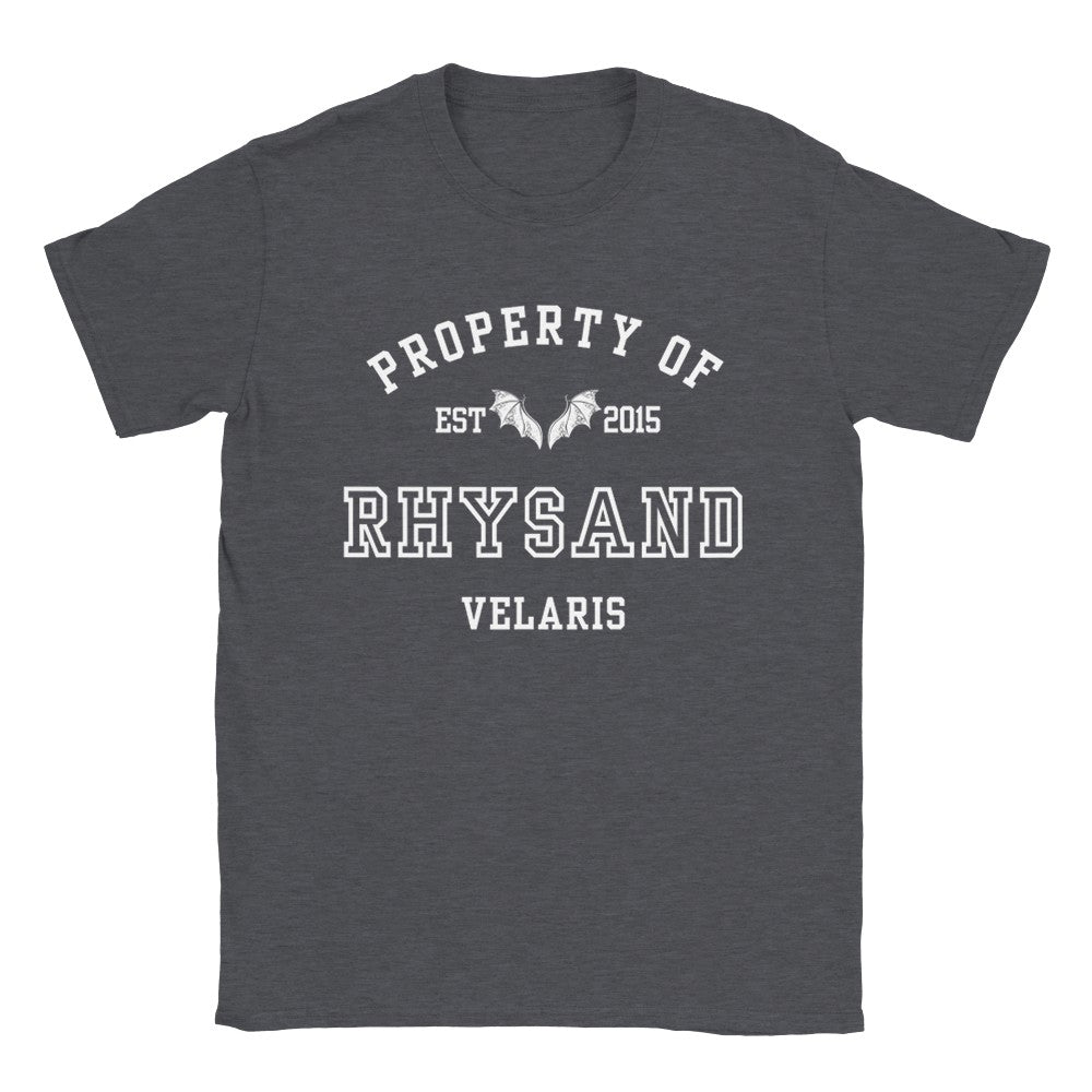 ACOTAR Rhysand Property Of the High Lord of the Night Court T-shirt Maasiverse Merch Classic Unisex Velaris Crewneck Tshirt