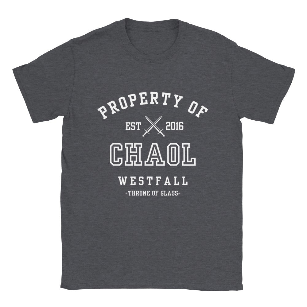 Throne of Glass Property Of Chaol Westfall Collegiate T-shirt Maasiverse Merch Classic Unisex Crewneck Tshirt